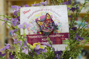 Подарочный сертификат 1000,00 руб