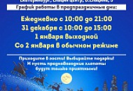 График работы в предновогодние дни и новогодние каникулы в Челябинске и Екатеринбурге!